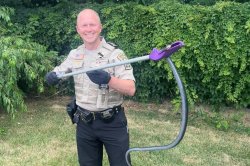 4-foot snake found in box of donated books at Virginia thrift store