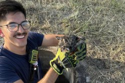 Firefighters rescue tiny kitten from storm drain