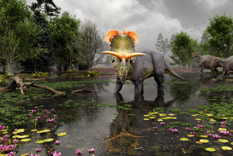 An artist's impression of Lokiceratops as it would have appeared in swamps of northern Montana 78 million years ago, complete with two Probrachylophosaurus moving past in the background. Artwork by Fabrizio Lavezzi © Evolutionsmuseet, Knuthenborg