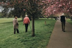 Walking brings huge benefits for low back pain, study finds